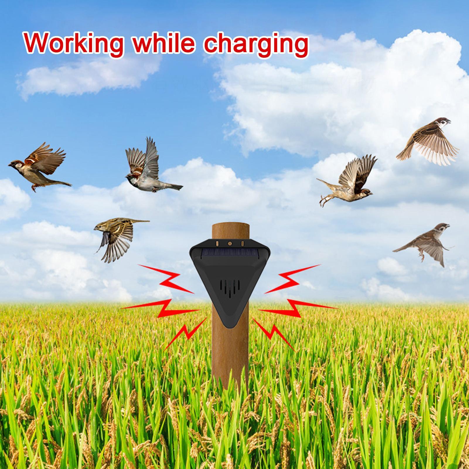 Solar Timer Bird Repeller With - đánh giá và giá Outdoor Power Hours