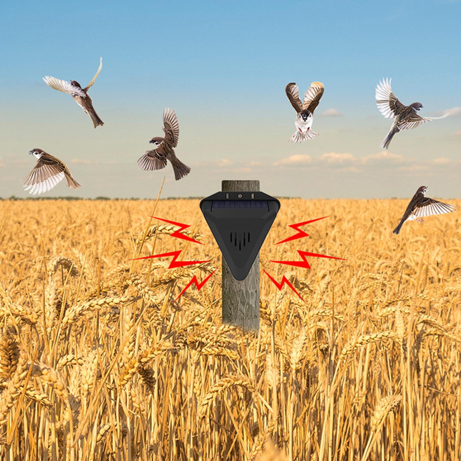 Solar Timer Bird Repeller With - đánh giá và giá Outdoor Power Hours