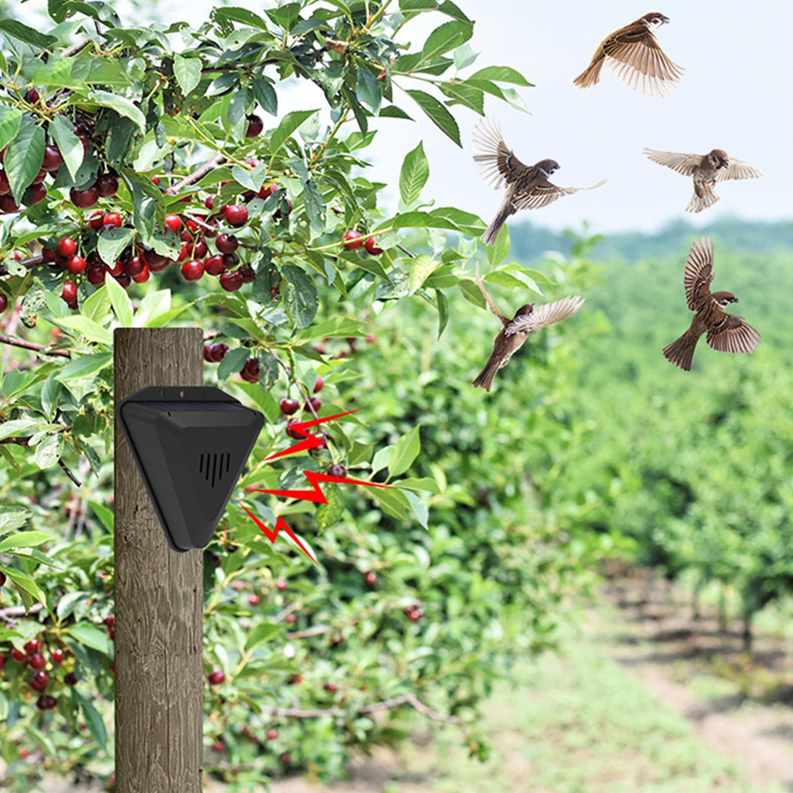 Solar Timer Bird Repeller With - đánh giá và giá Outdoor Power Hours